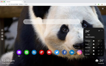 Panda HD New Tabs Popular Animals Themes