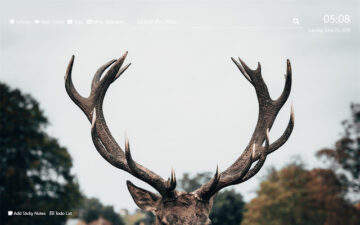 Deer Wallpaper HD New Tab Theme©