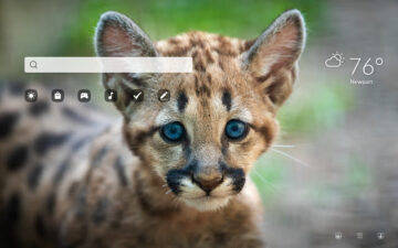 Puma HD Wallpapers New Tab