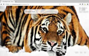 Tiger Wallpaper HD New Tab Themes