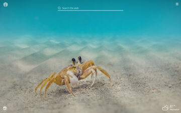 Crabs HD Wallpapers New Tab Theme