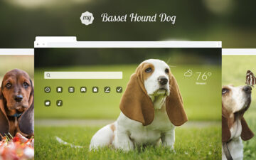 My Basset Hound Dog HD Wallpapers New Tab