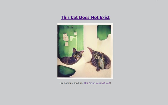 This person does not. This Cat does not exist. This does not exist. This Cat doesn't exist. Thiscatdoesnotexist.